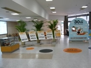 T-CATでリムジンバスの歴史展－成田空港線30周年で
