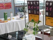山口宇部空港で「スイーツ博」－ビル内で販売中のスイーツ集結、限定商品も