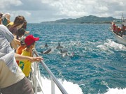 福岡空港で「大九州写真展」－九州7県の名所や祭りを紹介