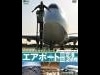 成田空港のオフィシャルDVD－シンフォレストが初の一般発売へ