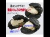 三沢空港の「空の駅」が好調－「虎鯖　棒すし」「竹炭シュークリーム」売れ筋に