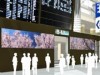 成田空港に国内最大規模のデジタルサイネージ－330インチマルチスクリーンなど340面
