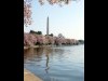 成田空港、米首都空港公団に桜寄贈－ワシントンナショナル空港に植樹