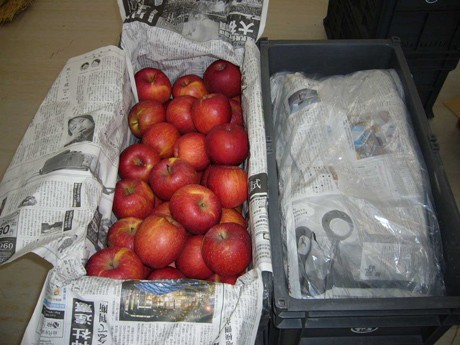 Experiment Underway at Aomori Airport: “Sorayuki Apples” Buried in Snow to Improve Flavor, to be Dug Out in April