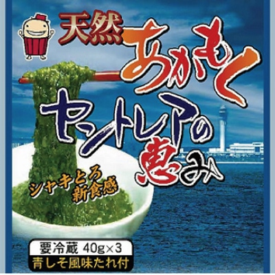 Airport Island Seaweed Goes on Sale at Centrair - commercialized Seaweed Commemorates Airport’s 5th Anniversary