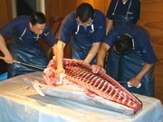 赤坂見附「板前寿司」で大間産本マグロ解体ショー、3日限定提供