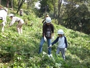 同じシーツをもう1日？ANAインターコンチ東京、コスト削減で植林活動