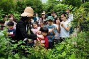 アークヒルズで親子「秘密の庭園探検ツアー」－森ビルが企画