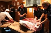 赤坂の「板前寿司」で初競り本マグロの解体ショー－被災地でも開催予定