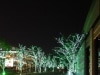 「Ｓａｃａｓ　Paradise　Illuminations」の様子