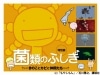 「もやしもん」オリゼーがナビゲートする「菌類のふしぎ」展－右も左も菌だらけ