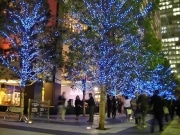 25万個のLED点灯－秋葉原UDX開業後初のイルミ企画