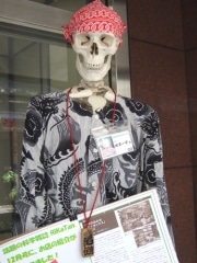 科学グッズショップの看板キャラ「ホネーチョ」がお祭りモードに