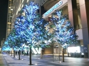 秋葉原の街にイルミネーション－クリスマスムードを盛り上げ