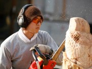 秋葉原で「森の担い手」募集－「森林の仕事ガイダンス」開催へ