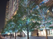 秋葉原UDX冬イルミネーション始まる－総球数40万個
