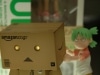 「ダンボー」アマゾンバージョン