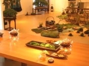 秋田のアートスペースで中国茶と盆栽展－緑の風をテーマに