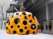 草間彌生さん「かぼちゃ」作品を複合展示－秋田駅前に巨大オブジェも