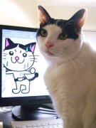 飼い猫がモデルのご当地キャラ「にゃまはげ仮面ニャッパゲ」、話題に
