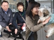 秋田の捨て犬「パグ」と「シーズー」、新たな飼い主決まる
