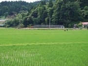「秋田で農業しませんか？」－県が研修生と受け入れ先農業法人を募集