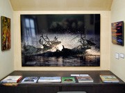 秋田でアラスカ写真の故・星野道夫さん作品展－夫人招きトーク企画も