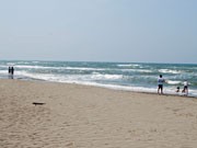 秋田の海岸クリーンアップ活動－有志が県内全海水浴場対象に