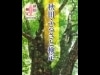 秋田博士を認定する「ふるさと検定」－東京・上智大も会場に