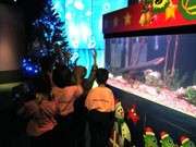 バンコクの水族館に水中サンタ登場－ツリーを点灯させる電気ウナギも
