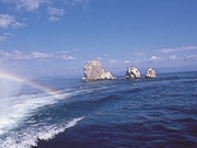 「ぐるっとびわ湖一周クルーズ」－沖島・竹生島に上陸できる新航路