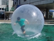 「びわ湖水上フェスティバル」－ウオーターボールで湖上を走る競技も
