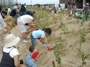 「イオンモール草津」で3千人による2万本の植樹祭－環境保全の一環で