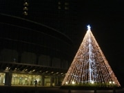 大津プリンスホテルでクリスマスイルミ－今年は「白色」LEDでツリー装飾
