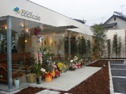 近江神宮前にカフェとボディーケアの複合店－「relax&cafe cococala」