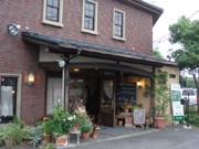 草津のカフェ・レストランで定期ライブ－本格的演奏月2回上演