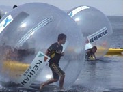 びわ湖で大学対抗「ウォーターボール」大会－水上を50メートル歩行