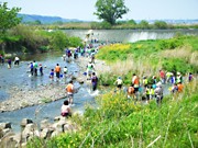 「環境フェア」に「調布水辺の楽校」出展－多摩川の水生生物展示も