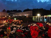 神代植物公園で「春のバラフェスタ」－早朝開園・夜間ライトアップも