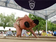 「わんぱく相撲」東京都大会－調布・味の素スタジアムで開催