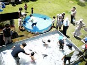調布市多摩川自然情報館が展示室開設－「おさかなコーナー」も