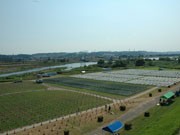 「調布市花火大会」準備整う－24日19時20分打ち上げ開始