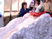調布の商店街で「雪まつり」－長野県木島平村からダンプ2台分の雪