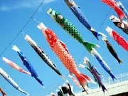 調布に100匹以上の「こいのぼり」が泳ぐ－国領小学校で