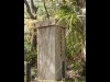 物理学者で随筆家の寺田寅彦氏が書いたといわれる、「三鷹国際報時所」の門柱（関連画像）