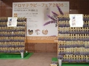 プランタン銀座でアロマテラピーフェア、3日はアロマの日