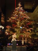 銀座ミキモトのクリスマスツリーが点灯－点灯式に森泉さん