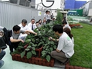松屋銀座の屋上で「収穫祭」－10種類の無農薬野菜を試食