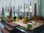 ソニービルで「花粉の少ない森づくり展」－銀座の花粉飛散量を測定　