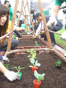 松屋銀座、屋上菜園で秋野菜の種・苗植え式－銀座グリーンプロジェクト